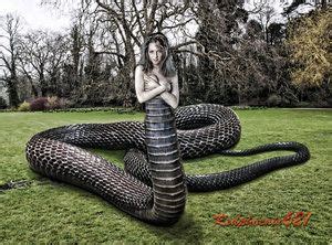 half snake half woman|Echidna • Greek Gods & Goddesses